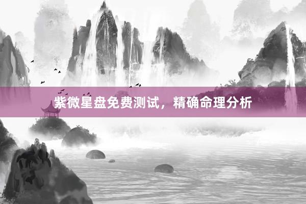 紫微星盘免费测试，精确命理分析