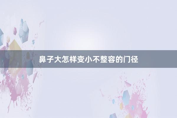 鼻子大怎样变小不整容的门径
